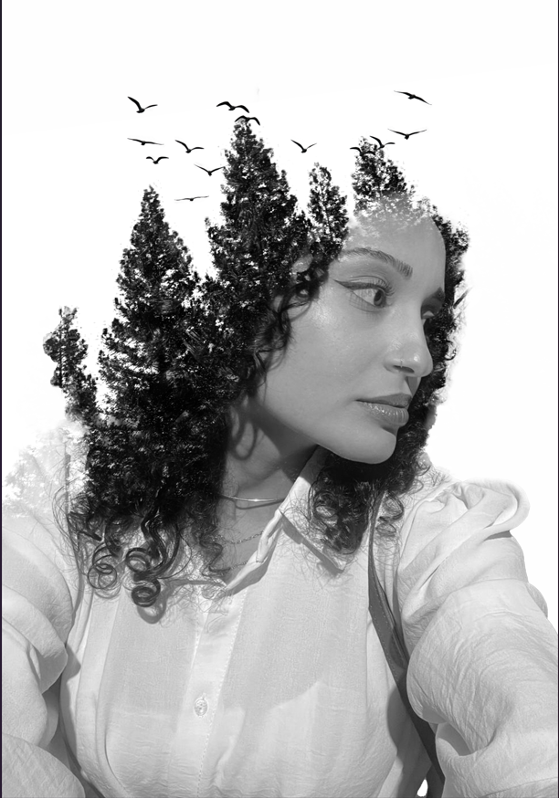 ekran görüntüsü 2026 03 08 222620