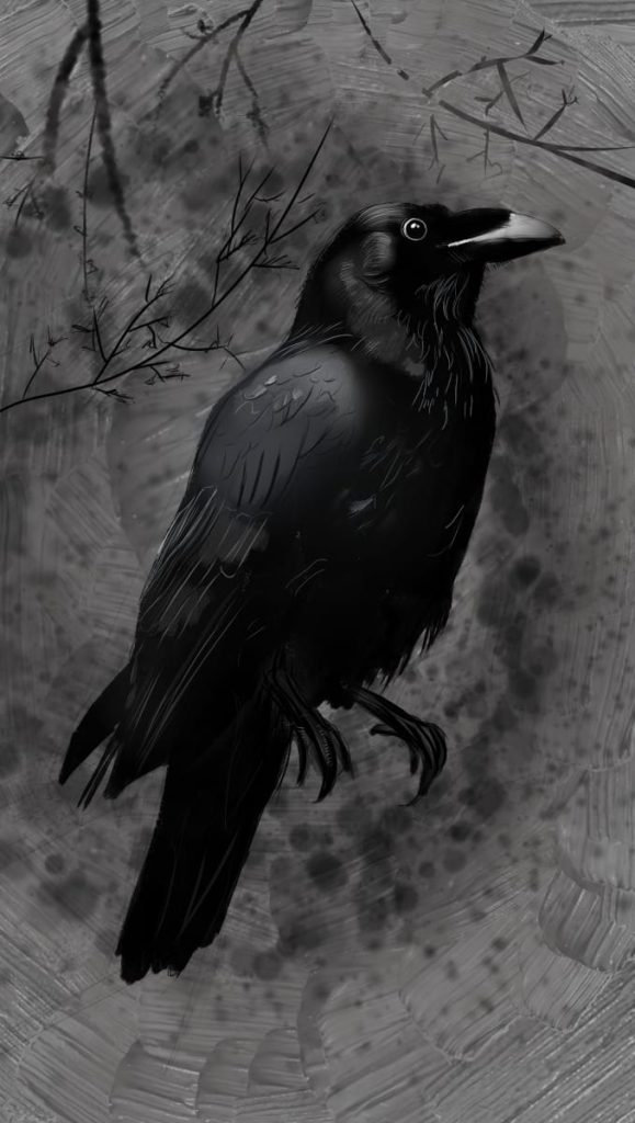 whatsapp image 2026 02 05 at 17.13.20